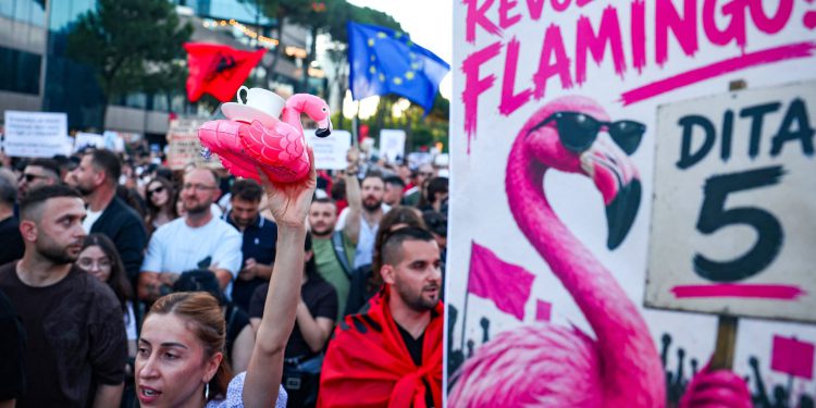 The Flamingo Revolution and Human Rights: Jared Kushner’s Tourism Project and Environmental Challenges in Albania 1 The Flamingo Revolution and Human Rights: Jared Kushner’s Tourism Project and Environmental Challenges in Albania